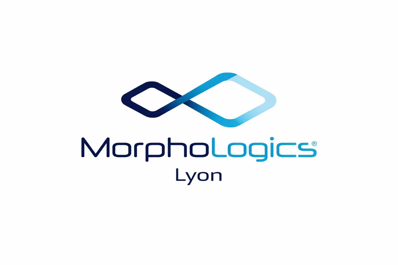 Image de couverture de l'artile Morpho-Logics : Morphologics prend une pause estivale
